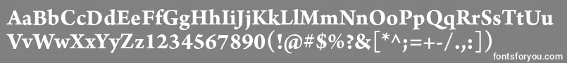 Шрифт ArnoproBold10pt – белые шрифты на сером фоне