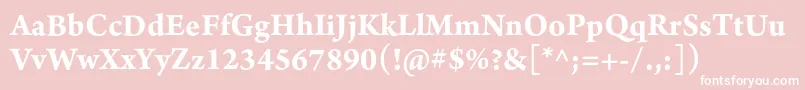 フォントArnoproBold10pt – ピンクの背景に白い文字