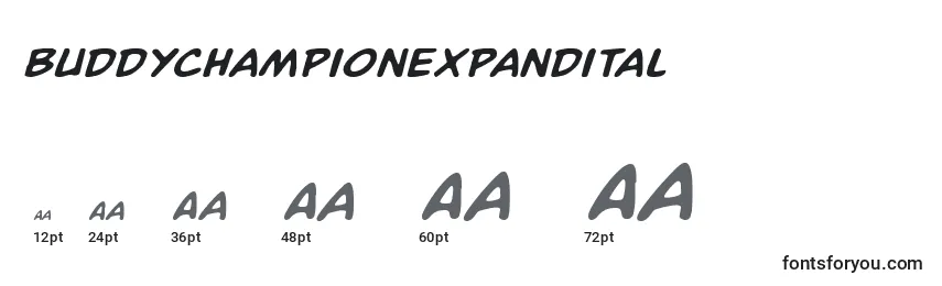 Buddychampionexpandital Font Sizes