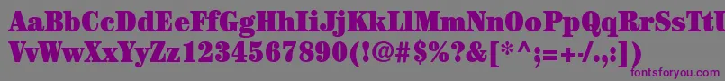 ItcCenturyLtUltraCondensed Font – Purple Fonts on Gray Background