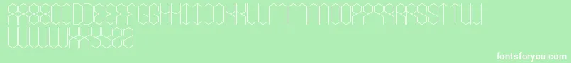 LoisCesarano Font – White Fonts on Green Background