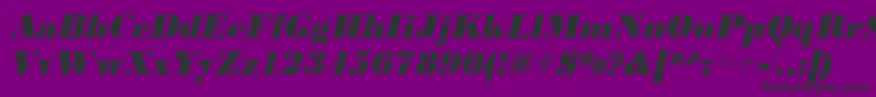 UrwbodonidextbolnarOblique Font – Black Fonts on Purple Background
