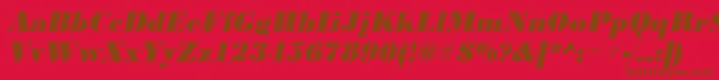 UrwbodonidextbolnarOblique Font – Brown Fonts on Red Background