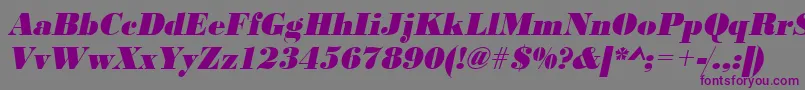 UrwbodonidextbolnarOblique Font – Purple Fonts on Gray Background