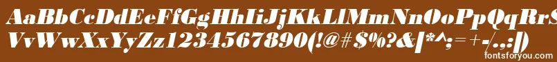 UrwbodonidextbolnarOblique Font – White Fonts on Brown Background