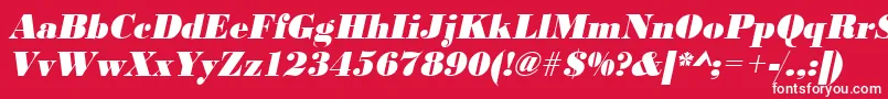 フォントUrwbodonidextbolnarOblique – 赤い背景に白い文字
