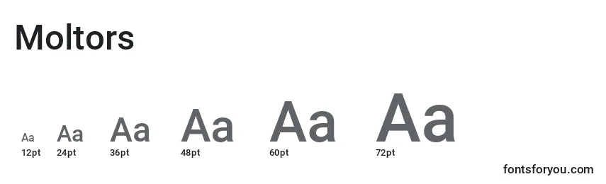 Moltors Font Sizes