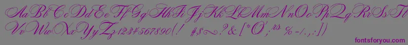 Шрифт Rosamundatwoc – фиолетовые шрифты на сером фоне