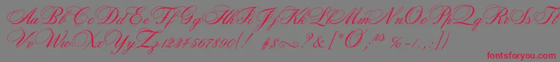 Rosamundatwoc Font – Red Fonts on Gray Background