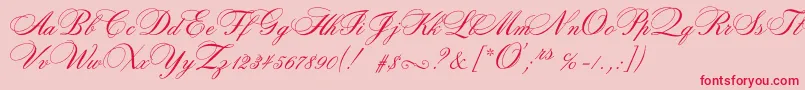 Rosamundatwoc Font – Red Fonts on Pink Background