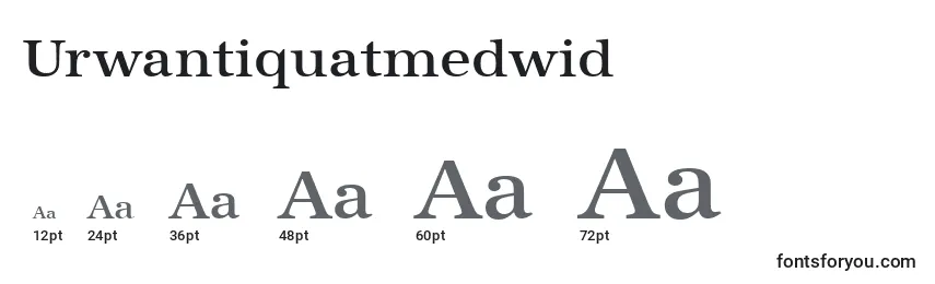 Размеры шрифта Urwantiquatmedwid