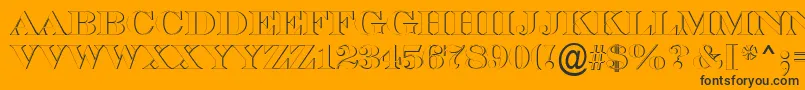 SerifertitulshRegular Font – Black Fonts on Orange Background