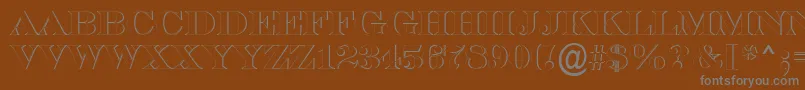 SerifertitulshRegular Font – Gray Fonts on Brown Background