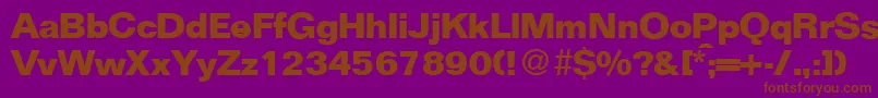 フォントFocusBold – 紫色の背景に茶色のフォント