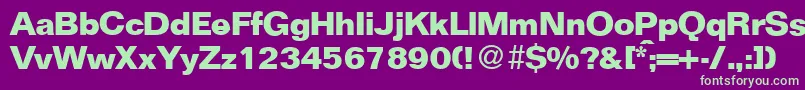 FocusBold Font – Green Fonts on Purple Background