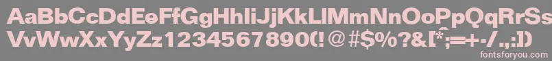 フォントFocusBold – 灰色の背景にピンクのフォント