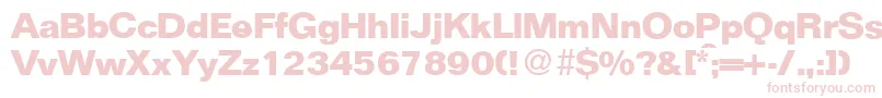 FocusBold Font – Pink Fonts