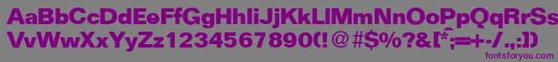 フォントFocusBold – 紫色のフォント、灰色の背景
