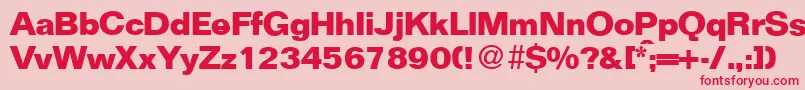 FocusBold Font – Red Fonts on Pink Background