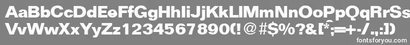 フォントFocusBold – 灰色の背景に白い文字