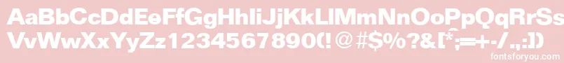 FocusBold Font – White Fonts on Pink Background