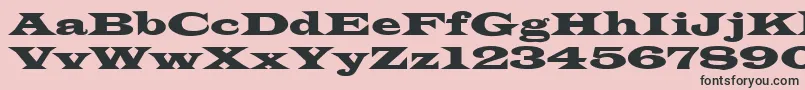 LatinRegular Font – Black Fonts on Pink Background