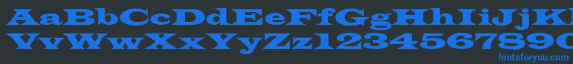 LatinRegular Font – Blue Fonts on Black Background