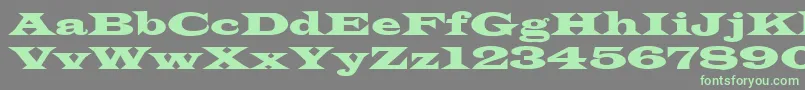 LatinRegular Font – Green Fonts on Gray Background