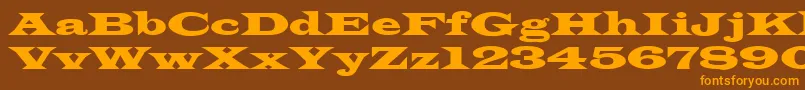 LatinRegular Font – Orange Fonts on Brown Background