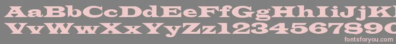 LatinRegular Font – Pink Fonts on Gray Background