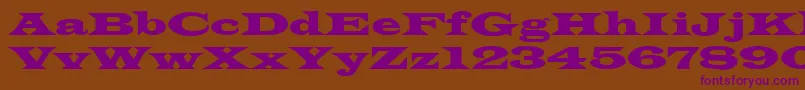 LatinRegular Font – Purple Fonts on Brown Background