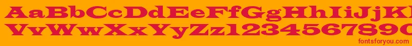 LatinRegular Font – Red Fonts on Orange Background
