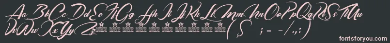 CasablancaNoirPersonalUse Font – Pink Fonts on Black Background