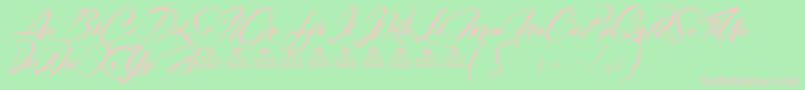 CasablancaNoirPersonalUse Font – Pink Fonts on Green Background