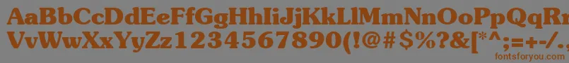 ItcSouvenirLtBold Font – Brown Fonts on Gray Background