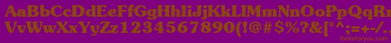 ItcSouvenirLtBold Font – Brown Fonts on Purple Background