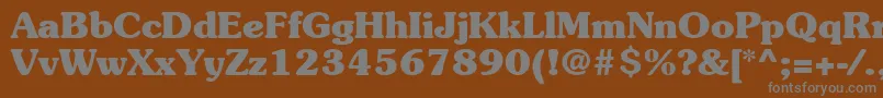 ItcSouvenirLtBold Font – Gray Fonts on Brown Background