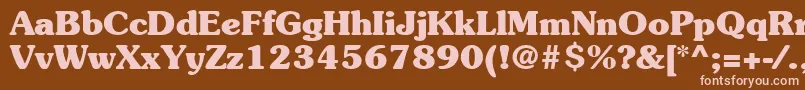 ItcSouvenirLtBold Font – Pink Fonts on Brown Background