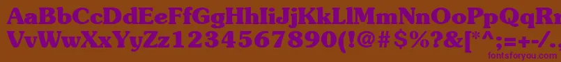 ItcSouvenirLtBold Font – Purple Fonts on Brown Background