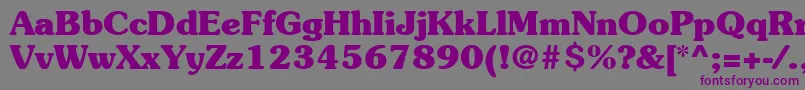 ItcSouvenirLtBold Font – Purple Fonts on Gray Background