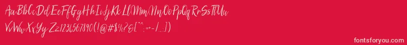 SilhouettoScript Font – Pink Fonts on Red Background