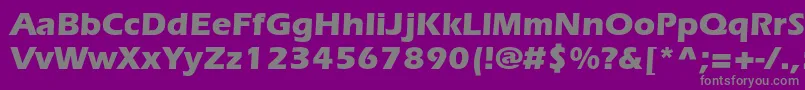 ItcerasstdBold-Schriftart – Graue Schriften auf violettem Hintergrund