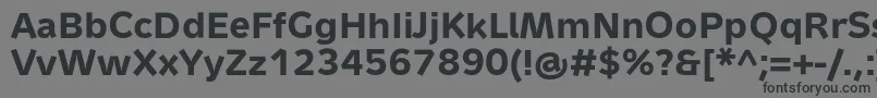 Шрифт MetronTextProBold – чёрные шрифты на сером фоне