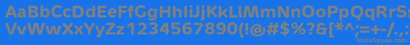 フォントMetronTextProBold – 青い背景に灰色の文字