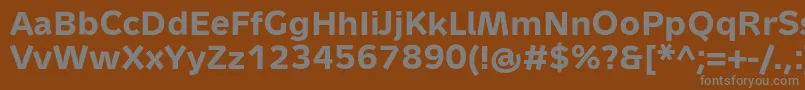 フォントMetronTextProBold – 茶色の背景に灰色の文字