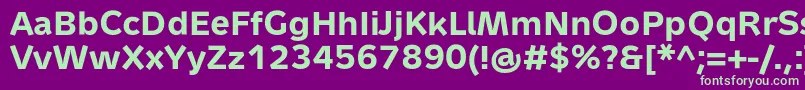 MetronTextProBold Font – Green Fonts on Purple Background