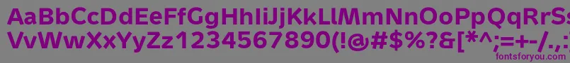 フォントMetronTextProBold – 紫色のフォント、灰色の背景