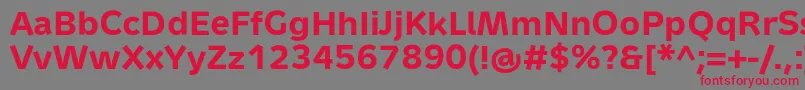 MetronTextProBold Font – Red Fonts on Gray Background