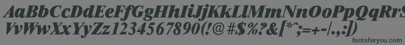 フォントRiccioneserialHeavyItalic – 黒い文字の灰色の背景