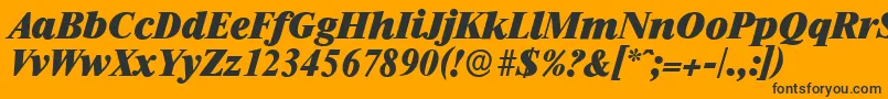RiccioneserialHeavyItalic Font – Black Fonts on Orange Background
